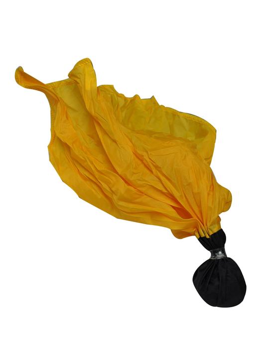 Official Penalty Flag